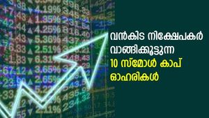 വന്‍കിട നിക്ഷേപകര്‍ വാങ്ങിക്കൂട്ടുന്ന പ്രധാന 10 സ്‌മോള്‍ കാപ് ഓഹരികള്‍