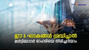 ഈ 6 ഘടകങ്ങള്‍ മനസിലാക്കിയാല്‍ ഒരു ഓഹരി മള്‍ട്ടിബാഗറാകുമോ ഇല്ലയോയെന്ന് തിരിച്ചറിയാം