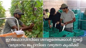 ടെക്കിയിൽ നിന്ന് കൃഷിക്കാരനിലേക്ക്; ഐടി ജോലി വിട്ട് ജപ്പാനിൽ കൃഷി തുടങ്ങി; വരുമാനം ഡബിൾ