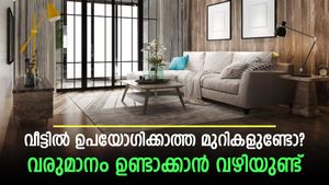 ശമ്പളം മാത്രം മതിയോ? മാസത്തിൽ ശമ്പളത്തിനൊപ്പം മറ്റൊരു വരുമാന സ്രോതസ് നോക്കാം; 6 വഴികൾ
