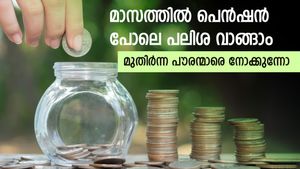 9% പലിശ നല്‍കുന്ന സ്ഥിര നിക്ഷേപം; മാസത്തില്‍ പെന്‍ഷന്‍ പോലെ പലിശ വാങ്ങാം; മുതിര്‍ന്ന പൗരന്മാര്‍ക്കിതാ അവസരം
