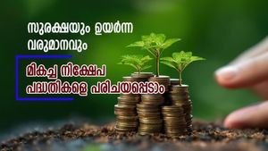 നിക്ഷേപത്തിന് തയ്യാറാണൊ? ഉയർന്ന വരുമാനവും നികുതിയിളവും നേടാവുന്ന പദ്ധതികളെതൊക്കെയെന്ന് നോക്കാം