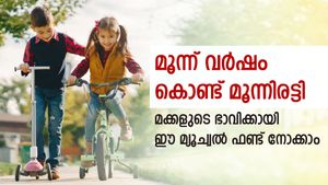 മൂന്ന് വർഷം കൊണ്ട് മൂന്നിരട്ടി; 10 ലക്ഷം രൂപയുടെ 30 ലക്ഷമാക്കി വളർത്തിയ മ്യൂച്വൽ ഫണ്ട് നോക്കുന്നോ