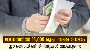 വീട്ടിലിരുന്ന് നേടാം അധിക വരുമാനം; മാസം 15,000 രൂപ വരെ സമ്പാദിക്കാൻ സൈഡ് ബിസിനസുകൾ; നോക്കുന്നോ
