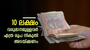 അറിഞ്ഞില്ലേ.. 60 കഴിഞ്ഞവർക്ക് വമ്പിച്ച നികുതി ഇളവുകൾ; 10 ലക്ഷം വരുമാനമുള്ളവർ എത്ര രൂപ നികുതി അടയ്ക്കണം
