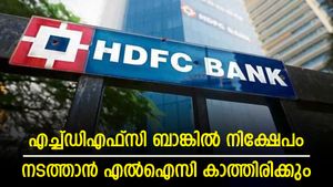 എൽഐസി കാത്തിരിക്കും; എച്ച്ഡിഎഫ്സി ബാങ്കിൽ തിരക്കിട്ട് നിക്ഷേപം നടത്തില്ല; കാരണം ഇതാണ്