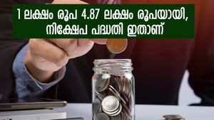 1 ലക്ഷം രൂപയുടെ മൂല്യം ഇന്ന് 4.87 ലക്ഷം, പണം വളർത്തിയ വഴി ഇതാണ്, നോക്കുന്നോ ...