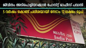 പെൺകുട്ടികൾക്കും മുതിർന്നവർക്കും ഉറപ്പായ വരുമാനം, പോസ്റ്റ് ഓഫീസ് പദ്ധതികൾ പൊളിയല്ലേ, നോക്കുന്നോ..