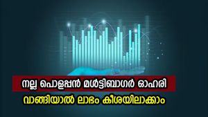 മൾട്ടിബാഗർ അലേർട്ട്..! ഇപ്പോൾ വാങ്ങിയാൽ നേട്ടം നിങ്ങളുടേതാക്കാം, കുതിപ്പ് 1000 ശതമാനം വരെ