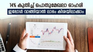 ഒരു വർഷത്തെ നേട്ടം 160 ശതമാനം, നിക്ഷേപം വർധിപ്പിച്ച് എഫ്ഐഐ, ഇതാണ് ശരിയായ മൾട്ടിബാഗർ ഓഹരി
