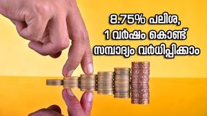 സ്ഥിര നിക്ഷേപത്തിന് നേടാം 8.75% പലിശ, 1 വർഷത്തെ കാലാവധി മാത്രം, കൈ നിറയെ പണമുണ്ടാക്കാം
