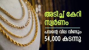 ഈ മാസം കൂടിയത് 1080 രൂപ, റെക്കോർഡ് വിലയിലേക്ക് കൂടുതൽ അടുത്ത് സ്വർണം, ഇന്നത്തെ നിരക്കറിയാം