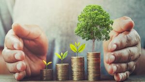 പരിമിതമായ ഫണ്ട് ഉപയോഗിച്ചും ഇനി സമ്പാദ്യമുറപ്പാക്കാം; ചെറുപ്പക്കാർക്കായുള്ള അടിപൊളി നിക്ഷേപ പദ്ധതികൾ