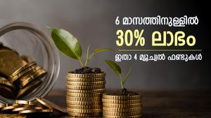 സമ്പാദ്യം വളർത്താൻ നല്ലത് മ്യൂച്വൽ ഫണ്ട് തന്നെ, 30 ശതമാനം വരുമാനം നൽകിയ 4 മ്യൂച്വൽ ഫണ്ടുകൾ, നോക്കുന്നോ..