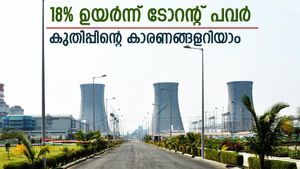 1 വർഷത്തിനിടെ നിക്ഷേപം 3 ഇരട്ടിയാക്കിയ കമ്പനി, ഓഹരി വില റെക്കോർഡ് ഉയരത്തിൽ, വളർച്ച തുടരാൻ സാധ്യത