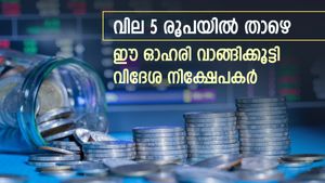 110 ശതമാനം ലാഭം നൽകിയ പെന്നി ഓഹരി, കുതിപ്പ് തുടർന്നേക്കും, ഓഹരികൾ വാങ്ങി വിദേശ നിക്ഷേപകരും