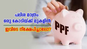 പി.പി.എഫിൽ 12,500 രൂപ നിക്ഷേപിച്ചാലോ? ഒരു കോടിയ്ക്ക് മുകളിൽ പലിശ മാത്രം സ്വന്തമാക്കാം....