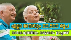 എല്ലാ മാസവും 20,500 രൂപ കിട്ടും; 60 വയസ്സിനു ശേഷം വെറും 5 വർഷം കൊണ്ട് ലക്ഷങ്ങൾ സമ്പാദിക്കാം