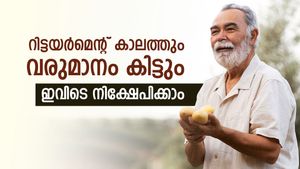 പ്രായം 60 കഴിഞ്ഞോ? ഇരട്ടി ലാഭം തരുന്ന ഈ സ്കീമുകളിൽ നിക്ഷേപിക്കാം, ഉറപ്പുള്ള വരുമാനവും കിട്ടും