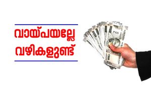 വീടില്ലേ? നമുക്ക് വാങ്ങാമെന്നേ...ഹോം ലോൺ കിട്ടാൻ ചില എളുപ്പ വഴികൾ ഉണ്ട്, റിസ്ക്കും ഉണ്ട്