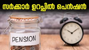 വീട്ടിലിരുന്നുകൊണ്ട് മാസം 20,000 രൂപ പെൻഷൻ വാങ്ങാം, അതും സർക്കാർ ഉറപ്പിൽ