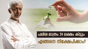 60 കഴിഞ്ഞവരുണ്ടോ? ഈ സ്കീമിൽ 5 വർഷം കൊണ്ട് പലിശ മാത്രം 24 ലക്ഷം കിട്ടും, എങ്ങനെ നിക്ഷേപിക്കാം? 
