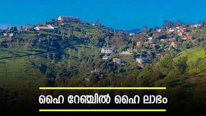  'ഊട്ടിയിലോ വാഗമണ്ണിലോ ഒരു ഹോട്ടൽ തുടങ്ങിയാലോ? 10 ലക്ഷമാണ് ലാഭം', സീസണിൽ കൂടും 