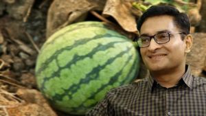 തണ്ണിമത്തൻ കൃഷിയിലൂടെ മൂന്ന് മാസം കൊണ്ട് ലക്ഷങ്ങൾ കിട്ടുമോ? കലക്ടർ ബ്രോ പറയുന്നത് ശരിയാണോ?