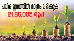 137 രൂപ നിക്ഷേപിക്കാനുണ്ടോ? ഈ സർക്കാർ നിക്ഷേപ പദ്ധതിയിൽ 34 ലക്ഷം രൂപ സമ്പാദിക്കാം