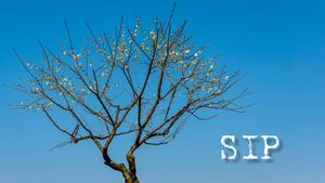 എസ് ഐ പികൾ ഇപ്പോൾ നിർത്താനോ? എന്താണ് പ്രശ്നം? വളരെ ശ്രദ്ധിക്കണം, ഗുരുതരമാണോ സാഹചര്യം?