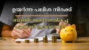 ബാങ്കിനേക്കാൾ ഉയർന്ന പലിശ നേടാം, 9.10% വരെ വാ​ഗ്ദാനം ചെയ്യുന്ന എഫ്ഡി: ഈ സ്ഥാപനങ്ങളിൽ നിക്ഷേപിക്കുന്നോ?
