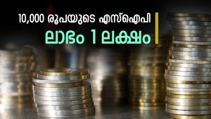 3 വർഷത്തിനുള്ളിൽ 1 ലക്ഷം ലാഭം, ഈ മ്യൂച്വൽ ഫണ്ടാണ് യഥാർത്ഥ മണി പ്ലാന്‍റ്, നിങ്ങൾക്ക് നിക്ഷേപമുണ്ടോ..?