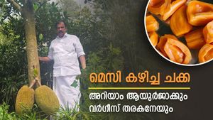 ആയുർ ജാക്ക്- എല്ലാ സീസണിലും വിളയുന്ന ചക്ക,  ലോകം കീഴടക്കി വർഗീസ് തരകന്‍റെ ചക്കയും ചക്ക ഫാമും