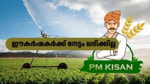 ഈ കർഷകർക്ക് പിഎം കിസാൻ യോജനയിൽ അപേക്ഷിക്കാൻ സാധിക്കില്ല: 6,000 രൂപ ആർക്കെല്ലാം?