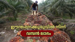 ഒരൊറ്റ കുലയിൽ 5000 രൂപ! പാഴായിപ്പോകുന്ന ഈന്തപ്പനക്കുരു പണമാക്കി മാറ്റാം; കേരളത്തിൽ പുതിയ വിപണി ഉയരുന്നു