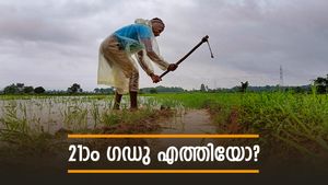 PM Kisan 21st Installment: എല്ലാ കർഷകർക്കും 2,000 രൂപ എത്തിയോ? ഈ പദ്ധതിയിൽ നിങ്ങളും ഉണ്ടോ? അറിയാം