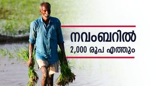 PM-Kisan 21st Installment: നവംബറിൽ 2,000 രൂപ അക്കൗണ്ടിൽ എത്തുമോ? സ്റ്റാറ്റസ് അറിയാനുള്ള എളുപ്പവഴി ഇതാ