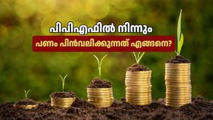 പിപിഎഫിൽ നിന്ന് പണം പിൻവലിക്കുമ്പോൾ ഈ കാര്യങ്ങൾ അറിയണം! കാലാവധിക്ക് മുന്നേ എടുത്താൽ നഷ്ടമുണ്ടാകാം