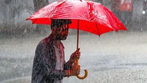 കനത്ത മഴ വരുന്നു, 7 ജില്ലകളിൽ യല്ലോ അലേർട്ട്, യാത്രക്കാർ ജാഗ്രത പാലിക്കണമെന്ന് മുന്നറിയിപ്പ്