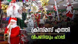 അടിപൊളിയായി ക്രിസ്മസ് വിപണി, ഇത്തവണയും സ്റ്റാർ പ്ലം കേക്കുകൾ തന്നെ, ഉത്സവകാല ചെലവുകളിൽ വിട്ടുവീഴ്ച ഇല്ല