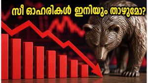 സീ ഓഹരികളിൽ വൻ ഇടിവ്; എലാര ക്യാപിറ്റലിന്റെ മുന്നറിയിപ്പിന് പിന്നിലെ ഞെട്ടിക്കുന്ന കാരണങ്ങൾ എന്തൊക്കെ?