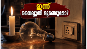ബംഗളൂരുവിൽ ഇന്ന് വ്യാപക വൈദ്യുതി തടസ്സം; നിങ്ങളുടെ പ്രദേശം പട്ടികയിലുണ്ടോ? അറിയേണ്ടതെല്ലാം ഇവിടെ