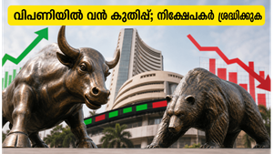 ഇന്ത്യൻ ഓഹരി വിപണിയിൽ വൻ കുതിപ്പ്; നിഫ്റ്റിയും സെൻസെക്സും കുതിക്കുന്നത് എങ്ങോട്ട്?