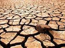 வறட்சியால் பொருளாதாரம் எப்படி பாதிக்கும்?