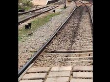இலங்கையில் தமிழர் பகுதியில் 252.5 கி.மீ ரயில் பாதையை சீரமைக்கிறது இந்தியா