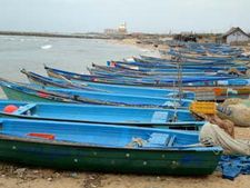 இறால் கொள்முதல் நிறுத்தம்: தூத்துக்குடியிலிருந்து கோடியக்கரை வரை மீனவர்கள் ஸ்டிரைக்