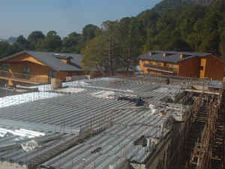 'சீர்திருத்த மட்டையை' பிடித்துள்ள ரியல் எஸ்டேட்காரர்கள்: கிரிஜா வியாஸ் 'பந்து வீச'  நிர்பந்தம்!