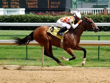 லாட்டரி மற்றும் குதிரை பந்தயங்களில் வெற்றி!! வருமான வரியில் தோல்வி..