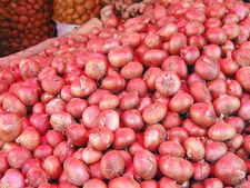 வெங்காயம் ஒரு கிலோ 40 ரூபாய்.. அட உண்மையாகத் தான்..!