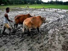 பருவமழை குறைந்ததால் 8 லட்சம் கோடி சந்தை கேள்விக்குறி..? வங்கிகளுக்கு முளைத்தது புது பிரச்சனை..